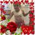 Alberto Veraz's profile image