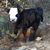 Nancy Tolbert's profile image