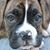 Sharon Smith's profile image