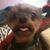 Becky Shellenberger Evans's profile image
