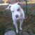 Lorrie Thrasher's profile image