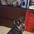 Pam Kohel-Harrison's profile image
