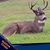 Packy Lackey's profile image