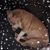 Dawn Kaye's profile image