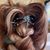Kristi Dilger's profile image