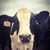 Brayden Praegitzer's profile image