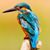 Exa Ellis York's profile image