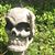 Ray Soucier's profile image