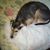 John Mcnatt's profile image