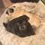 Laura Lyall Mason's profile image