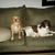 Tami Vanett's profile image