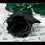 Katya Bianchi's profile image