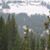 Karen Griggs Ferren's profile image