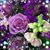 Joann Gielow's profile image