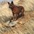 Ellen Reed's profile image
