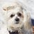 John Ketola's profile image