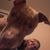 Nicole Richard's profile image