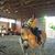 Sue Philipps's profile image