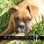 Linda Stack Tribuzio's profile image