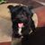 Barnie Moe's profile image