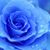 Jp Johnson's profile image