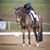 Jennie Jarnstrom's profile image