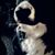 Maria Jasso's profile image