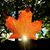 Jenni Mallon Malcomb's profile image