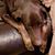Mark Bechtel's profile image