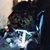 Tim Reid's profile image