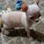 Bridget Ann Goyette's profile image