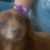 Ryta Reyna's profile image