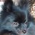Shanna Biggerstaff's profile image