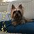 Nadine Werkman's profile image