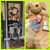 Lisa Clayton Siciliano's profile image