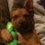 Jack Bright's profile image