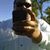 Anthony Quintana's profile image