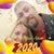 Sharon Renee Owenby's profile image