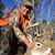 Rick Palmiere's profile image