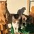 Kathleen Prichard's profile image