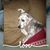 Eileen Frost's profile image