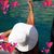Cristina Cois's profile image