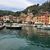 Kathy D'Arrigo-Raye's profile image