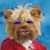 Val Weaver's profile image