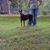 Tammy Jackson's profile image