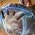 Aandf Solorio's profile image