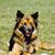 Wendy Santspree-Brodeur's profile image