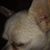 Jason Hoover's profile image