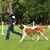 Neil Hall's profile image