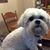 Patti Weaver's profile image